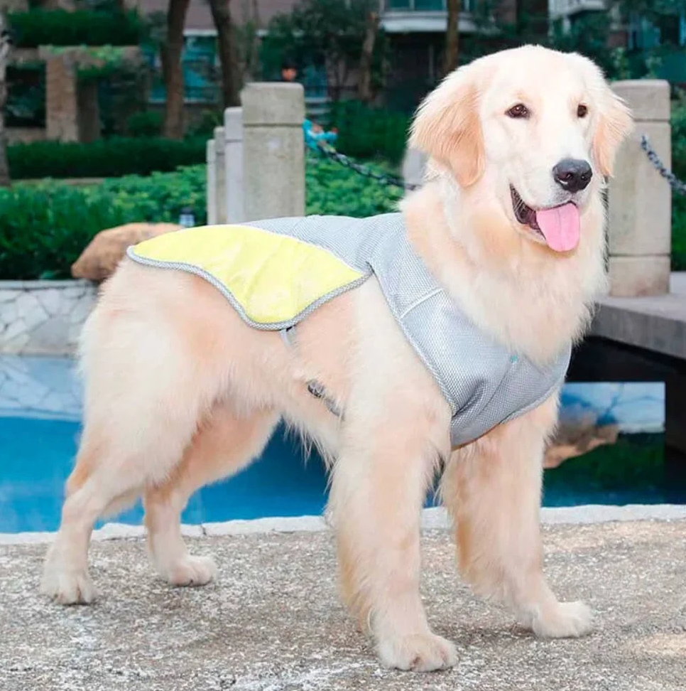 Breathable Dog Cooling Vest